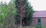 Groot tuinonderhoud.
