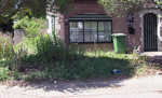 Groot tuinonderhoud.